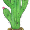 Cactus Bookmark Cactus Bookmark — hand-painted watercolor by Ruth